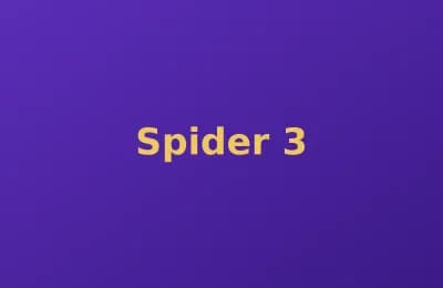 Spider photo 3