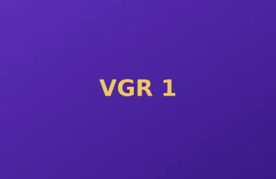 Vigor Apex photo 1