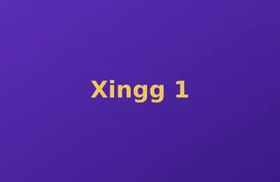 Xingg photo 1